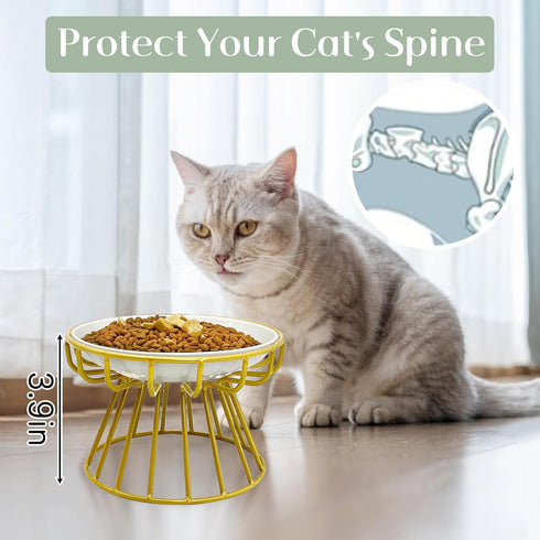 BNOSDM Elevated Cat Plate, Shallow Ceramic Dish with Gold Stand, Whisker Fatigue Flat Bowl for Indoor Small Cats and