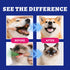 Lysozyme 12.85 oz Wellix Cat & Dog Breath Freshener Water Additive - Natural Probiotic, Fresh Breath Mouthwash for Dog
