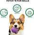 Furhaven 3-Pack 2.5" Squeaky Ball Dog Toys for Small/Medium Dogs, Fetch 'N Fun TPR Squeaky Ball Toy Set
