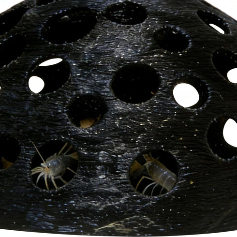 Generic Porous Shrimp Cave, Dome Underground Shelter, Fish Tank Cave for Aquarium Habitat, Freshwater Saltwater