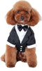 GabeFish Pets Wedding Jackets Suit for Dogs with Bow Tie, Black Tuxedo, Small