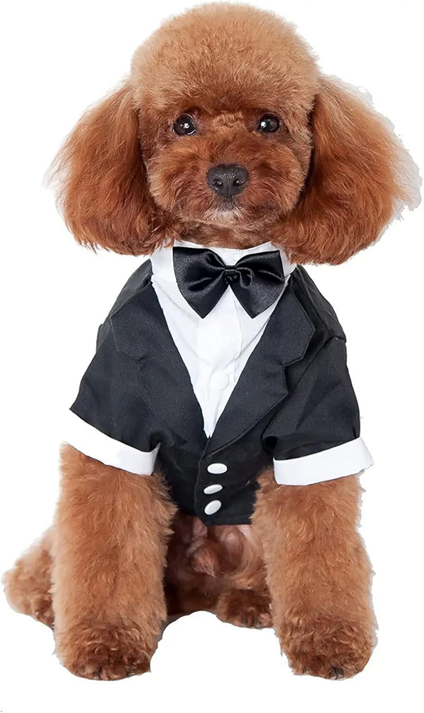 GabeFish Pets Wedding Jackets Suit for Dogs with Bow Tie, Black Tuxedo, Medium