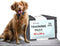 Healqu Puppy Pads - 24x24 50 Count Dog Training Pad, Black Charcoal, Ultra Absorbent, Leakproof Technology