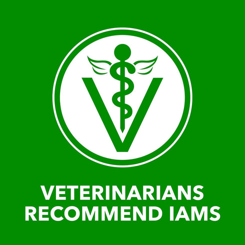 13 oz. Pack 12 IAMS Proactive Health Wet Dog Food Adult, Canned Dog Food, Chicken Chunks in Gravy and Beef Chunks