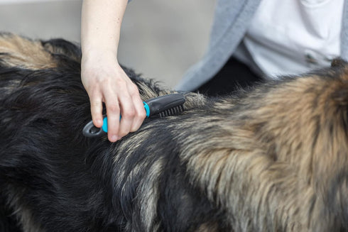 TRIXIE Pet Universal Grooming Rake for Cats and Dogs, 7" (18cm) - Removes Mats and Tangles