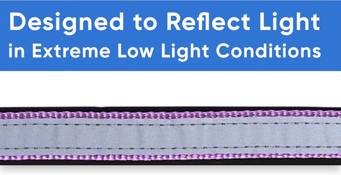 Pawtitas Lumberjack Padded Martingale Collar for Dogs, Soft Neoprene with Reflective Band, Medium Orchid