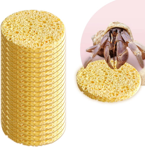 20 Pieces Hermit Crab Sponges, Real Sea Sponges in Yellow for Pet Hermit Crab Tank Humidity Supplies