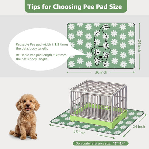 (36"x24", 2 Packs) LOOBANI Washable Puppy Pads: Waterproof Reusable Pee Pads for Dogs, Non-Slip and Leak-Proof Dog Pee