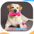 4 Pcs 4.5'' Spiky Squeaker Football Dog Toy for Medium Large Dogs, Spiky Balls for Aggressive Chewers