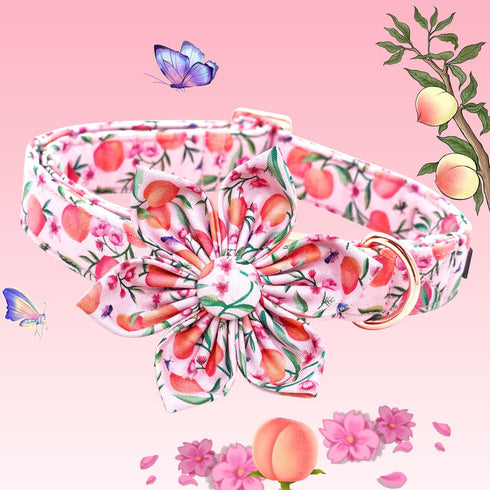 Lionheart Glory Dog Collar with Flower, Pink Peach Adjustable Collar for Small Dogs, Spring Bow