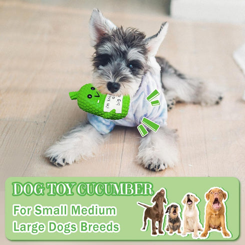 Pickle Squeaky Dog Toys, Funny Latex Chew Toys for Teething Puppies, Mild Chewing for Small, Medium, Large Dogs