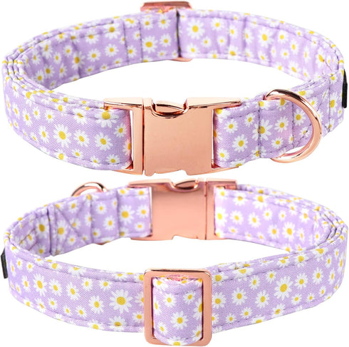 Lionet Paws Dog Collar, Comfortable Adjustable Cute Collar with Metal Buckle for Male Female Dogs, Purple Daisy, Large
