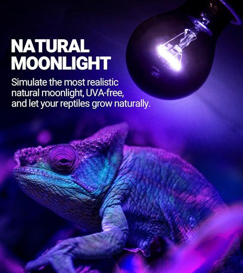 2Pack 100W Bulb E26/E27 REPTI ZOO Reptile Heat Lamp Reptile Night Heat Night Heat Lamp Without UVA for Turtle Bearded