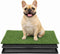 CyberPaws Artificial Grass Dog Potty with Tray,16" x 20" Reusable Puppy Training Pad,3-Layer