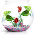 3 Pack Betta Fish Leaf Pad Improves Betta's Health by Simulating The Natural Habitat - Natural, Organic, Comfortable Rest Area for Fish Aquarium by CousDUoBe