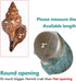 2pcs 1.8-2", (2pcs Big Hermit Crab Shells, XL Size Large Conch Opening Natural Sea Turbo Seashells for Hermit Crab