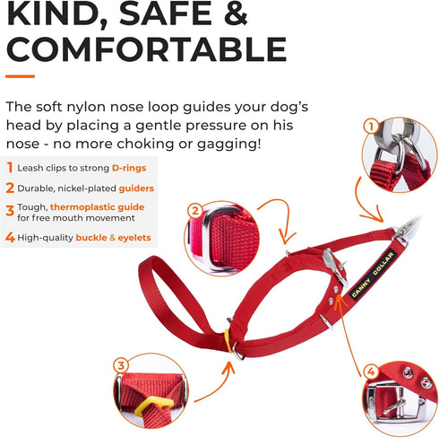 Canny Collar No-Pull Dog Collar - Gentle Head Collar for Dogs | Dog Training Tool (Red, Size 4)