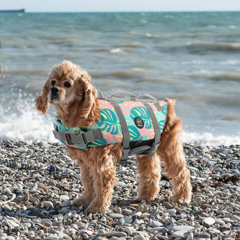 EMUST Dog Life Preserver, High Buoyancy Dog Life Vests for Swimming, Beach Boating for Small/Medium/Large Dogs
