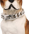 BAOBOTE Gold Chain Dog Collar with Secure Snap Buckle, 19MM Cuban Link Chew Proof Heavy Duty for Medium Large Dogs