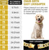 Dog Chain Silver Cuban Collars, Walking Metal Chain Choke Collar with Secure Buckle for Small Medium Large Dogs (Gold,