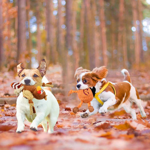 Vehomy Halloween Dog Toys - Squeaky Pumpkin & Turkey Chew Toy for Small & Medium Dogs (2Pcs).