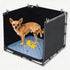 Dog Pee Pad Holder Tray with Washable Pee Pad - Foldable Indoor