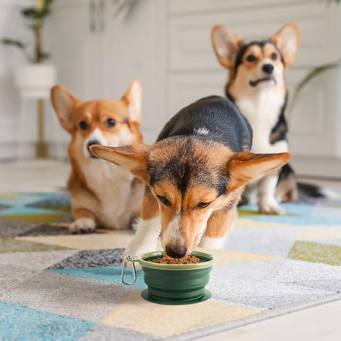 Collapsible Dog Bowl with Non Skid Suction Base, 100% Pure Silicone Foldable Water Bowl, 350mL