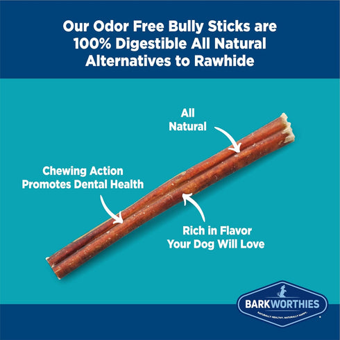 Barkworthies Odor-Free 6 Inch Bully Sticks - 5 Count (Pack of 1) - All-Natural Rawhide Alternative, Promotes Dental