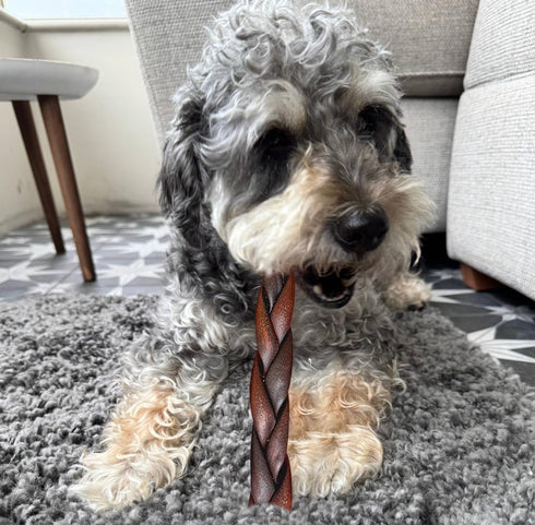 AZRAPAWS 5-6 Inch Braided Collagen Sticks for Medium & Large Dogs, Beef Collagen Dog Chews Long Lasting, Dog Treats
