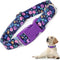 Dog Collar with Purple Flowers Patterns - Cute Adjustable Soft Durable Pet Collar for XS Small Medium Large Dogs