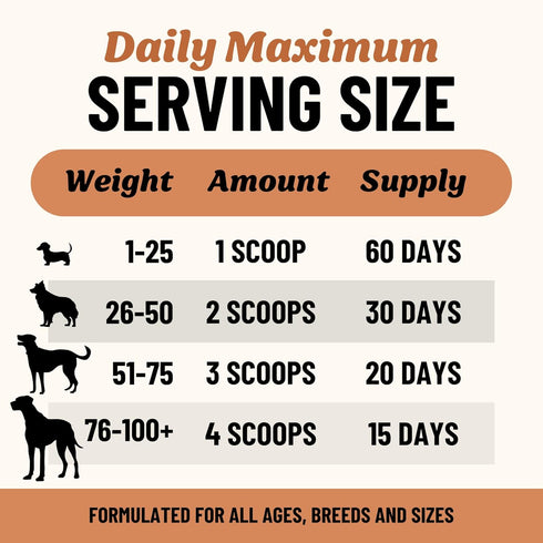Immune 60 Fido's Longevity Bone Broth for Dogs - Turkey Tail + Maitake Mushroom - Grass-Fed Beef Bone Broth Powder