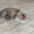 4 12.2 12.2 2.5 TRIXIE Cat Activity Poker Box Strategy Game Interactive Puzzle Toy with Modules Treat Puzzle Feeder
