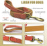QRDA Dog Collar and Leash Set - Khaki Adjustable Durable Nylon Collars with Tactical Leash for Small/Medium Dogs