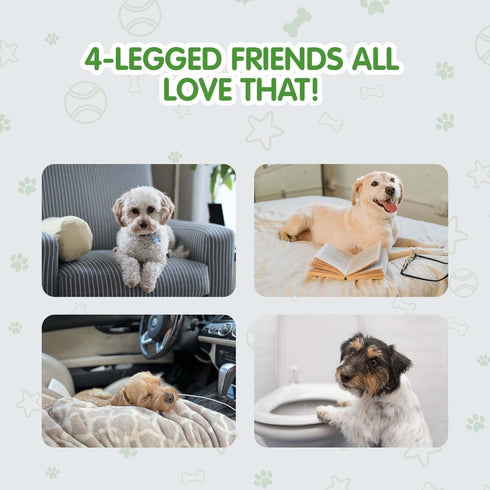 COCOYO Large Dog Training Pads Value Pack (30 Count, 26x30 inch) for Eliminating Urine Odor