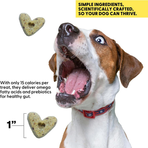 Wild Earth Superfood Dog Treats - Plant Based with Omega Acids, Prebiotics & Koji Protein, Banana & Cinnamon Flavor