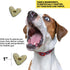 Wild Earth Superfood Dog Treats - Plant Based with Omega Acids, Prebiotics & Koji Protein, Banana & Cinnamon Flavor