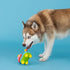 Life'S A Paw-Ty Dog Toy by Fringe Studio, Latex, Pet Shop Collection (366012)