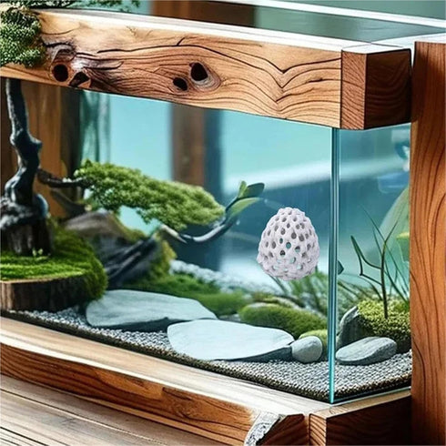 Bingche 3pcs Shrimp Dome Hiding Habitat Aquarium Beta Fish Tank Tunnel Hole Decoration Accessories
