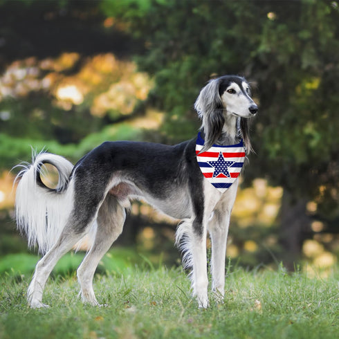 4th of July Dog Bandanas 2 Pack, American Flag Pet Scarf, Durable Fabric Patriotic Scarf for Small Medium Large Dogs
