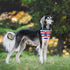 4th of July Dog Bandanas 2 Pack, American Flag Pet Scarf, Durable Fabric Patriotic Scarf for Small Medium Large Dogs