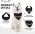 Parisian Pet Quirky Dog Bandana – ‘Security’ Printed Tie-On Neck Kerchief for Dogs, Cats, Puppies – Medium Size