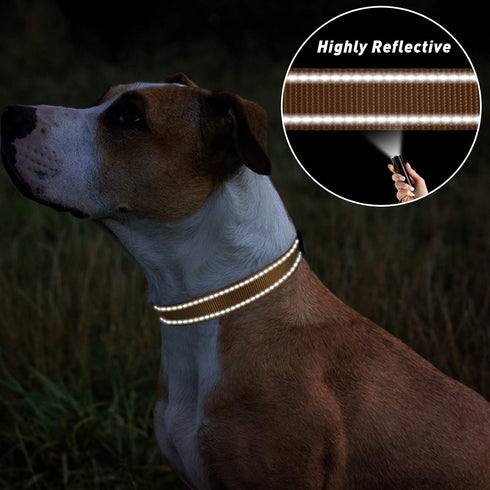 TagME Reflective Nylon Dog Collars, Adjustable Classic Dog Collar for Small Dogs, Khaki, 5/8" Width
