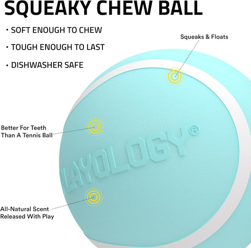 Playology Squeaky Dog Toy - Durable Rubber Interactive Ball, Peanut Butter Scented Fetch Ball for Medium Dogs