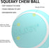 Playology Squeaky Dog Toy - Durable Rubber Interactive Ball, Peanut Butter Scented Fetch Ball for Medium Dogs