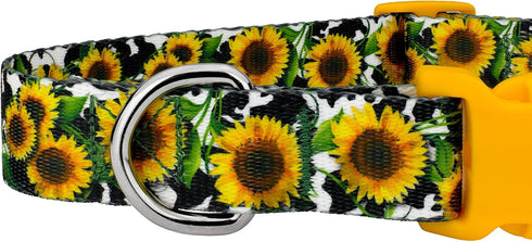 Country Country (1 Inch, Brook Petz - Dairy Fields Everyday Dog Collar and Leash - and Western Collection Featuring
