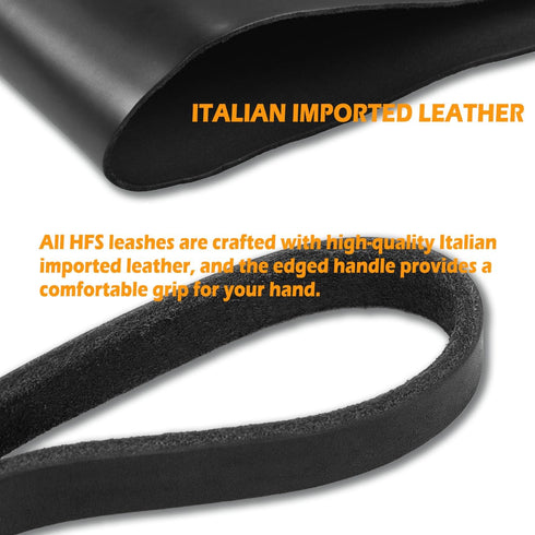 Premier 6Ft Leather Dog Training Leash, Great for Hunting Dogs or Obedience Training - Christmas Dog Gifts, Black