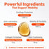 16oz WuffWell Liquid Glucosamine for Dogs Hip & Joint Support with Chondroitin, MSM & Hyaluronic Acid, Dog Joint