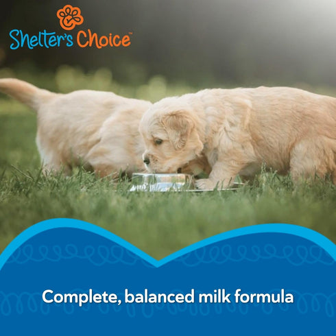 1 lb Revival Animal Health Shelters Choice Kitten Milk Replacer Powder, Complete and Balanced Milk Formula for Kittens
