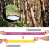 Resistance Bands for Working Out, 5 Resistance Levels for Home Fitness, Strength Training, Includes Guide and Carry Bag