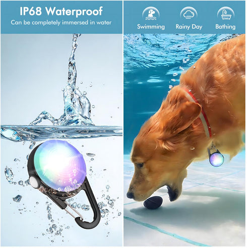 2 Pack Dog Collar Light, USB Rechargeable with 4 Modes for Nighttime Clip On, IP68 Waterproof for Night Walking